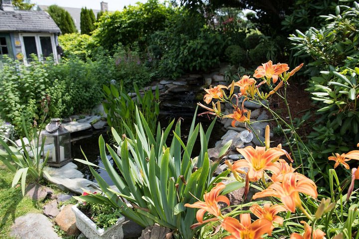 Gardenview Bed and Breakfast