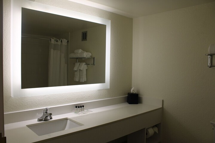 Wyndham Flint MI / Grand Blanc/Bishop Airport/Conference Ct