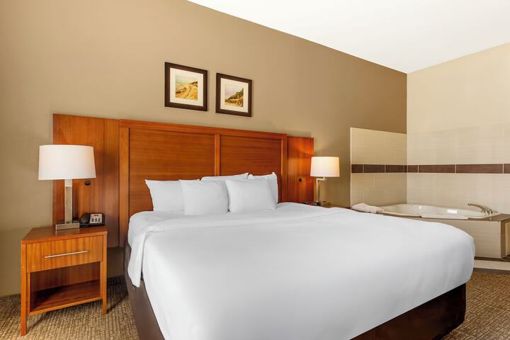 Comfort Inn & Suites Porter near Indiana Dunes