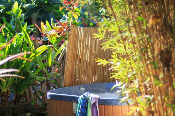 Hot Tub 51 of 65