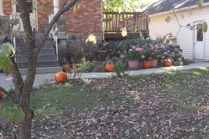 Terrace/Patio 46 of 53