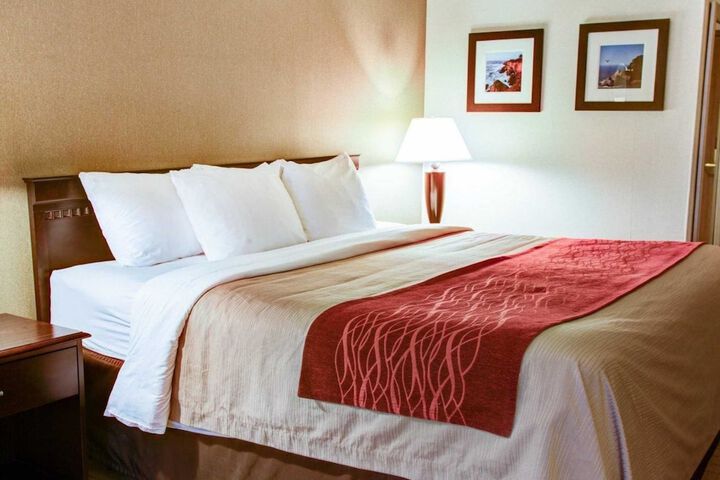 Quality Inn Florence