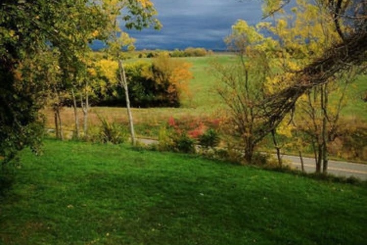 Property Grounds 46 of 48