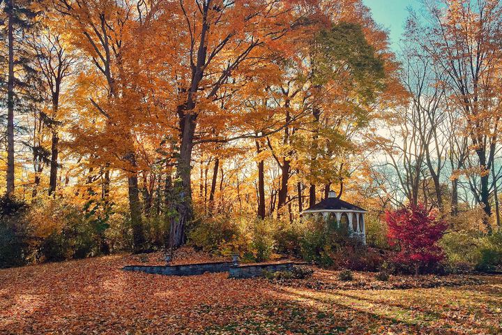 10 Fitch Luxurious Romantic Inn