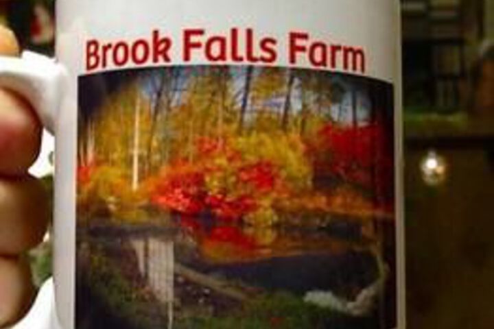Brook Falls Farm