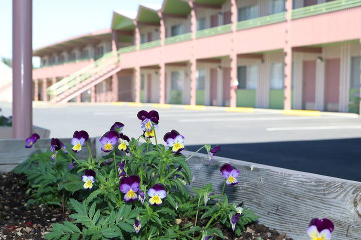 Hotel Exterior 24 of 29
