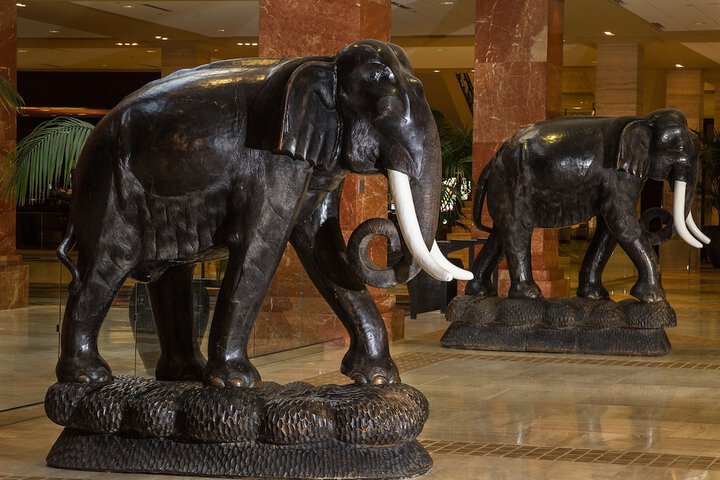 Hilton Anatole