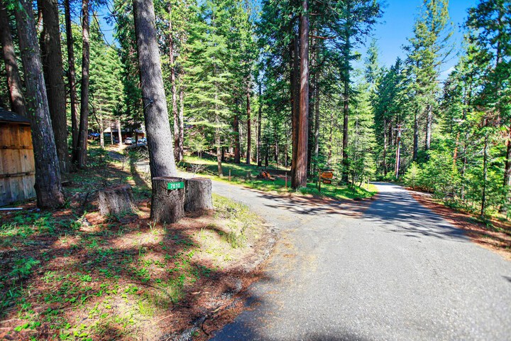 Yosemite Scenic Wonders - Fish Camp Area