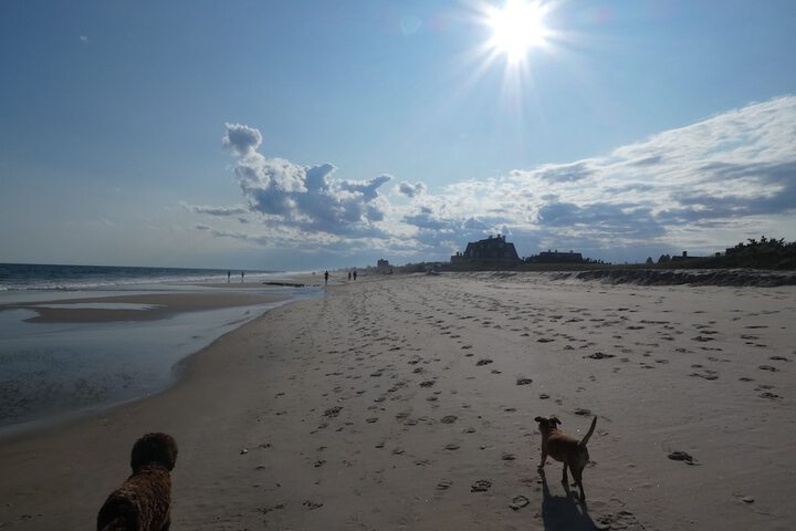 Beach 53 of 70