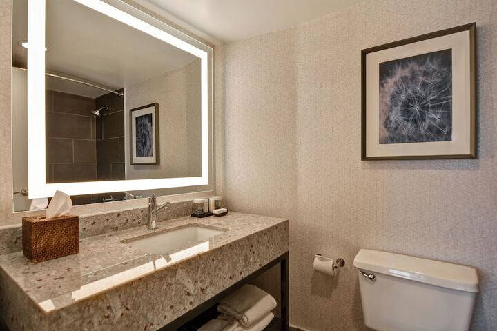 Embassy Suites by Hilton Minneapolis Airport