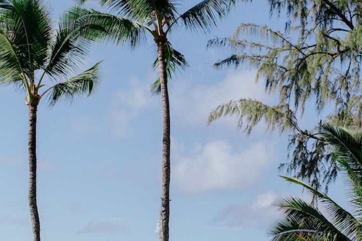 The Ritz-Carlton Maui Kapalua