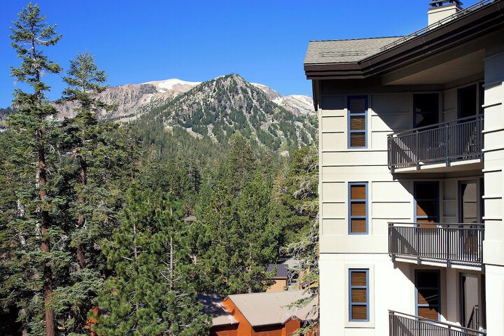 Hotel 4 of 46