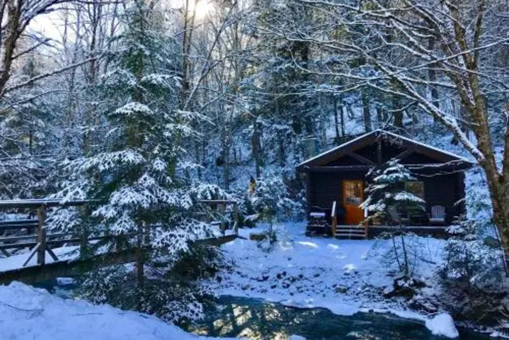 Rustic Log Cabins