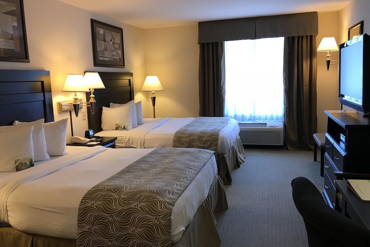 Room 26 of 42