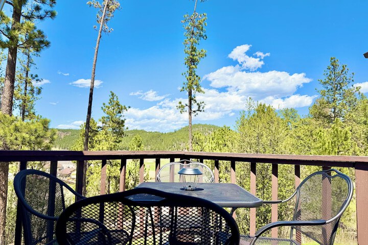 Mountain View Lodge & Cabins