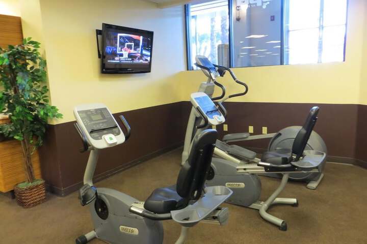 Health and Fitness 43 of 52