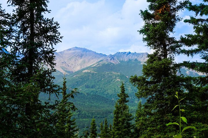 Denali Crows Nest Cabins