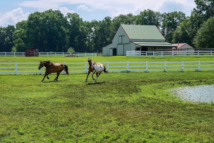 Renovated Bunkhouse on 12-acre Horse Farm!
