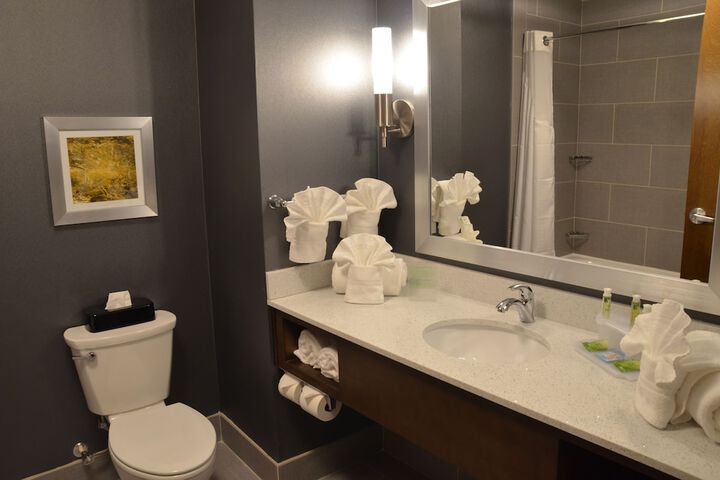 Holiday Inn Express Hotel & Suites Albany by IHG