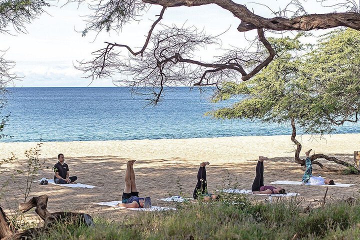 Four Seasons Resort Lanai