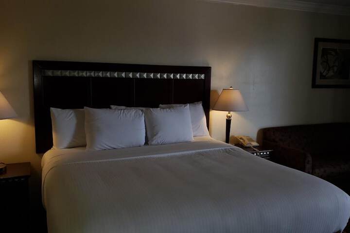 Room 33 of 42