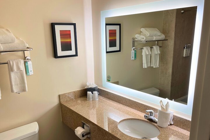 Holiday Inn & Suites Ann Arbor Univ Michigan Area by IHG