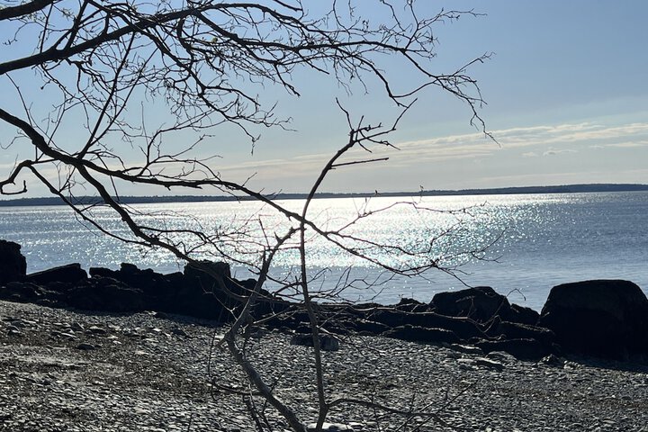 High Tide Inn