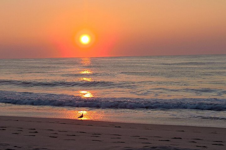 Beach 32 of 41