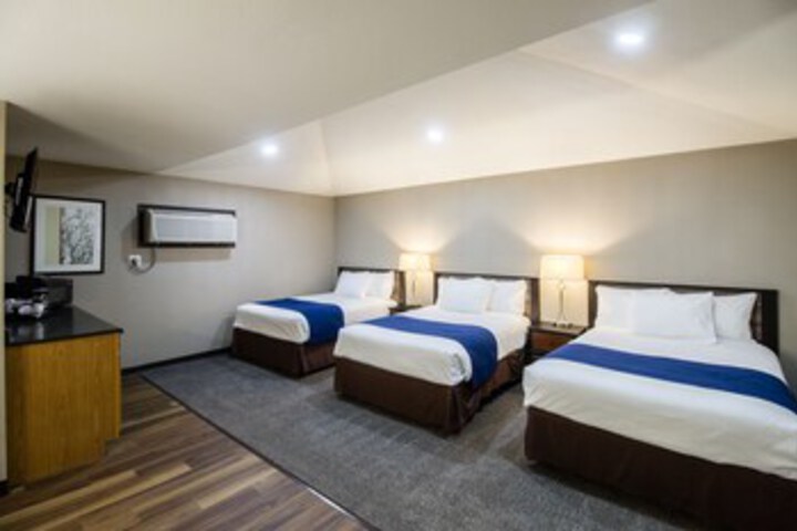 Motel Alexander