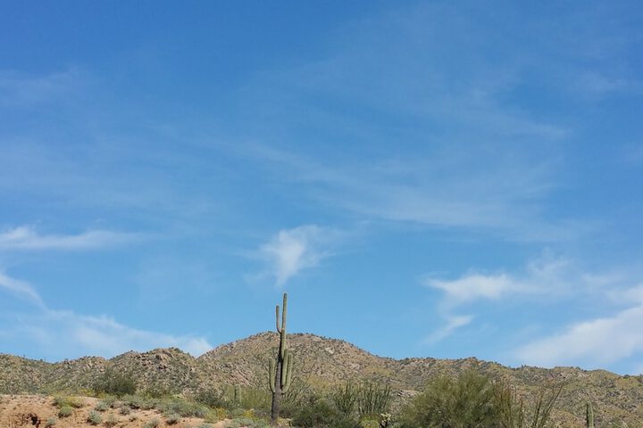 Outdoor Activities 65 of 65