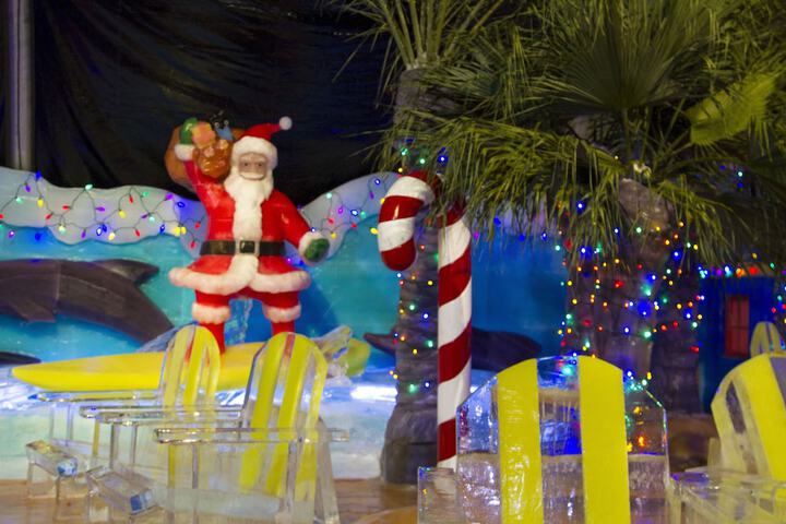 Moody Gardens Hotel Spa and Convention Center