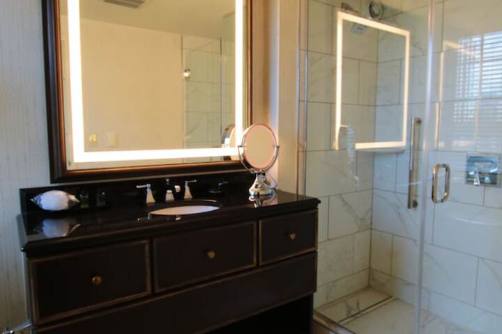 Hotel Roanoke & Conference Center Curio Collection by Hilton