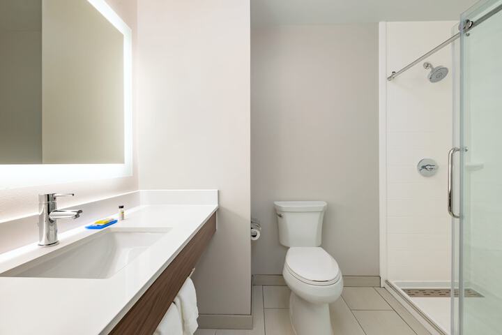 Holiday Inn Express Hotel and Suites of Opelika / Auburn by IHG