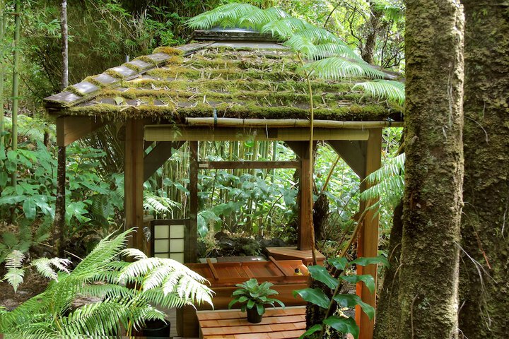 Volcano Rainforest Retreat