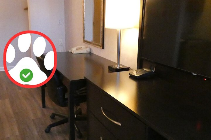 Room 11 of 40