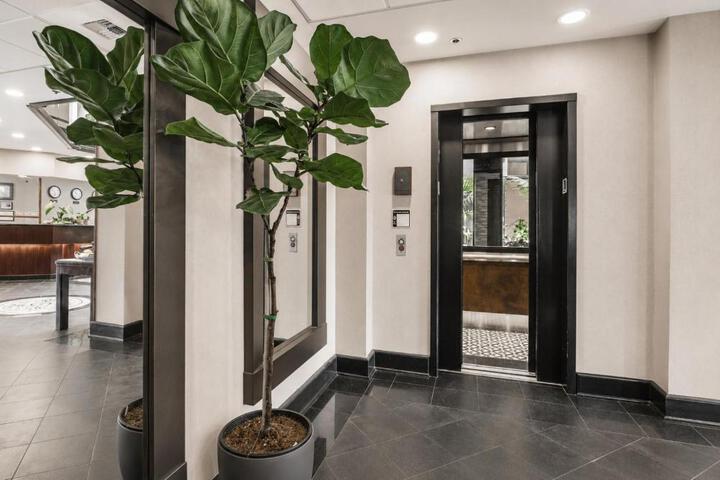 Hotel International