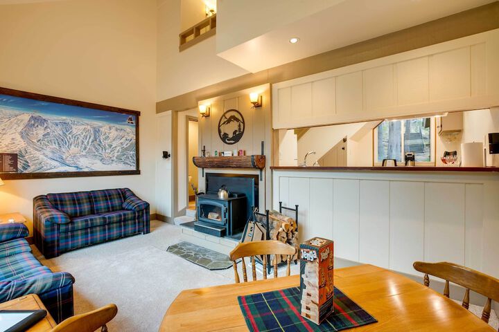 Mountain Condo w / Fireplace in Kirkwood Ski Resort