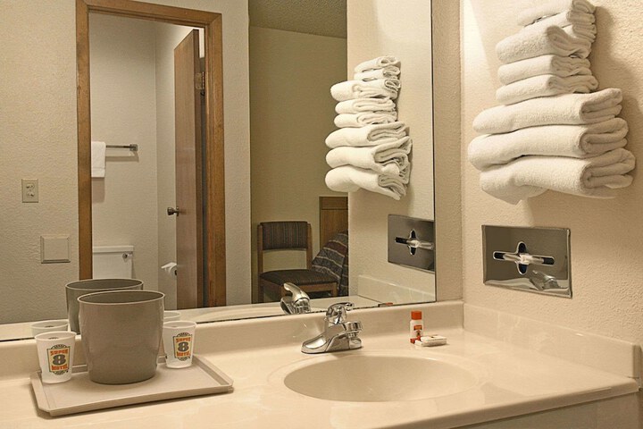 Holiday Inn Express Hotel & Suites Brownfield by IHG