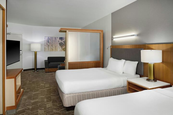 SpringHill Suites by Marriott Detroit Metro Airport Romulus