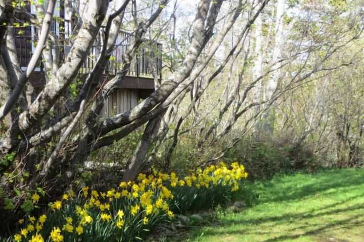 Northland Lodge