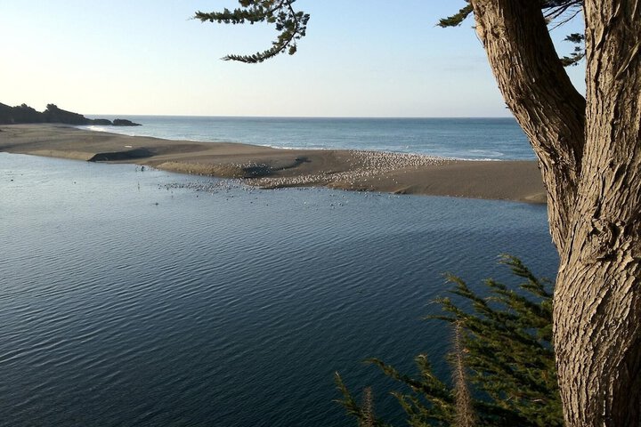 Beach 20 of 25