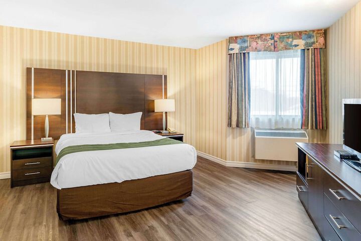 Quality Hotel & Suites