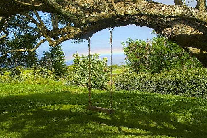 Terrace/Patio 51 of 55