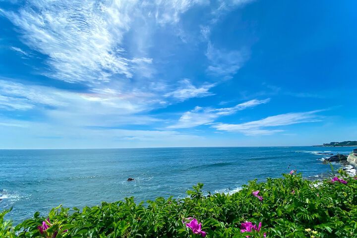 Atlantic Beach Hotel Newport
