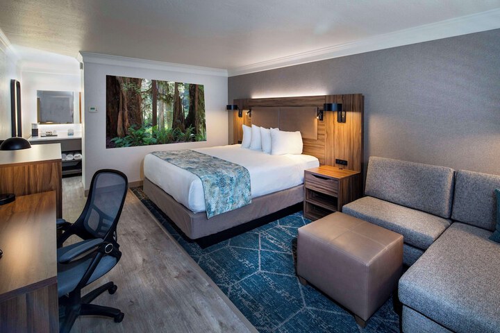 Room 12 of 46