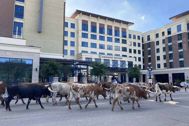 Embassy Suites by Hilton Amarillo Downtown