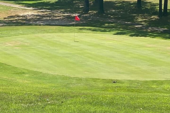 Golf 81 of 84