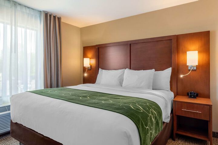 Comfort Inn & Suites Schenectady - Scotia