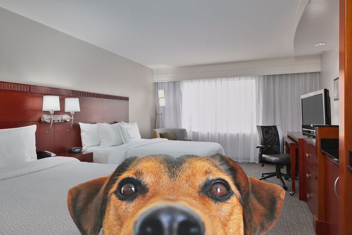 Pet Friendly 21 of 23
