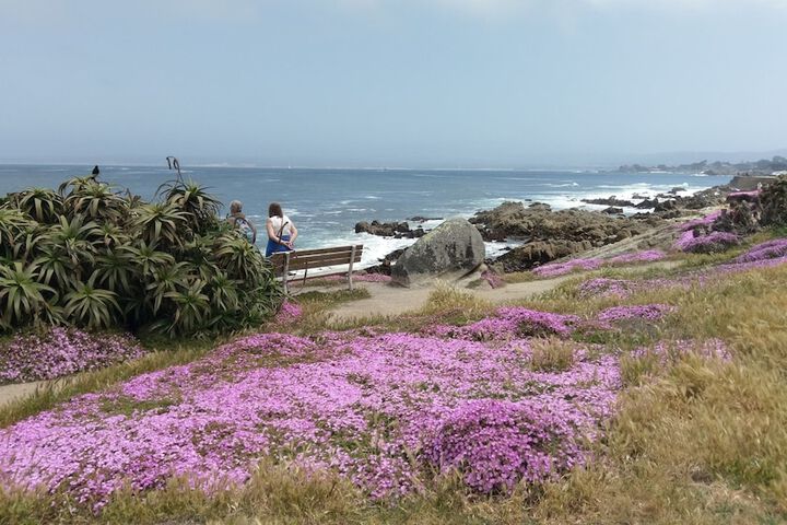 Beach 73 of 85